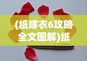 (纸嫁衣6攻略全文图解)纸嫁衣6，深度解析与常见问题解答