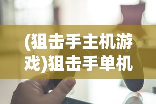 (狙击手主机游戏)狙击手单机游戏PC推荐与介绍