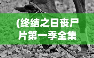 (终结之日丧尸片第一季全集免费观看中文版)终结之日丧尸片第一季，生存与挑战的序曲
