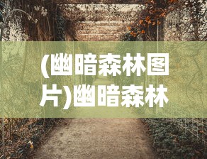 (幽暗森林图片)幽暗森林，神秘与魅力的交织