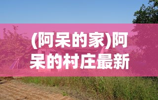 (阿呆的家)阿呆的村庄最新版，游戏新体验与深度解析