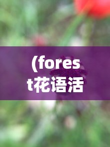 (热血航线开始寻宝吧七水之城内的什么东西)热血航线开启！探寻宝藏之旅启程