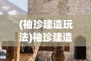 (袖珍建造玩法)袖珍建造物品全解锁，深度探索袖珍建造的世界