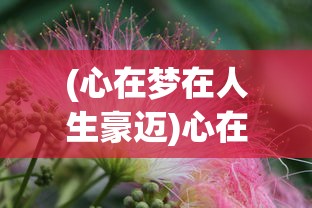 (心在梦在人生豪迈)心在梦在，追寻内心指引，筑梦前行