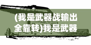 (我是武器战输出全靠转)我是武器战，探索武器战斗的乐趣与挑战