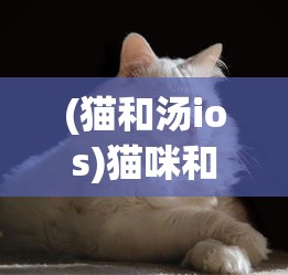 (不一样传说后期攻略)不一样传说2强力职业推荐，深度解析与多元分析