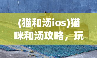 (猫和汤ios)猫咪和汤攻略，玩转游戏，成为真正的养猫大师