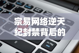 宗易网络逆天纪封禁背后的故事与挑战