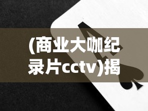 (商业大咖纪录片cctv)揭秘商业大咖纪录片，探寻成功背后的故事与智慧