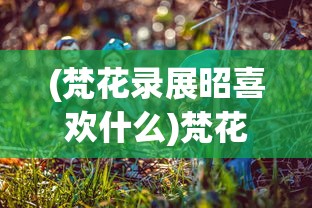 (梵花录展昭喜欢什么)梵花录展昭，揭秘古代神秘人物展昭与梵花录的传奇故事