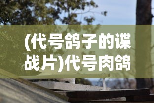 (代号鸽子的谍战片)代号肉鸽与折相思，深入探究游戏背后的魅力