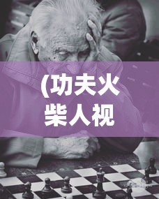 (功夫火柴人视频)功夫劈雳火柴人游戏，热血战斗与策略的挑战