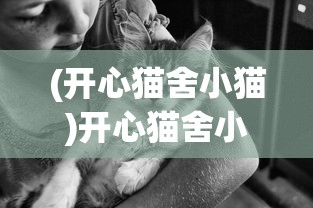 (闪耀少女手游)闪耀优俊少女为何下架，深度探究与解析