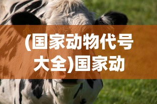 (国家动物代号大全)国家动物代号的起源与意义，探索背后的故事