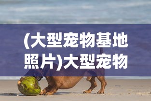 (指环王崛起之战贴吧)指环王崛起之战国服上线情况探讨及多元分析
