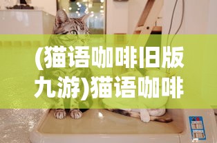 (猫语咖啡旧版九游)猫语咖啡旧版，回忆与探索