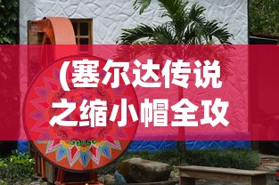 (塞尔达传说之缩小帽全攻略)GBA塞尔达传说缩小帽攻略大全，游戏探索与关卡解析