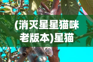 (消灭星星猫咪老版本)星猫爱消除，游戏魅力与玩家热情解析