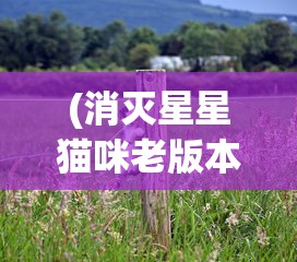 (消灭星星猫咪老版本)星猫爱消除，游戏魅力与玩家热情解析