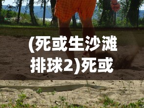 (泡面三国还有吗)揭秘泡面三国下架原因，多重因素导致游戏告别舞台