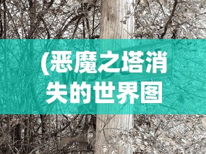 (恶魔之塔消失的世界图文攻略大全)恶魔之塔，消失的世界图文攻略及常见问题解答