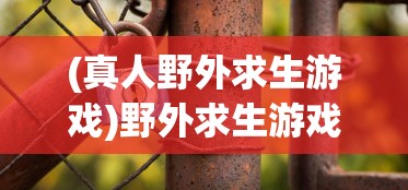 (真人野外求生游戏)野外求生游戏，挑战生存极限的冒险之旅