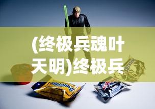 (终极兵魂叶天明)终极兵魂，深度解析与常见问题解答