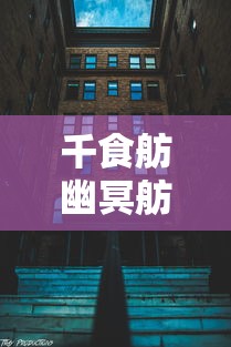 千食舫幽冥舫，正确摆放的艺术与哲学