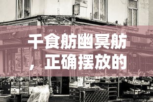 千食舫幽冥舫，正确摆放的艺术与哲学