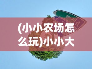 (小小农场怎么玩)小小大农场，全面攻略与常见问题解答