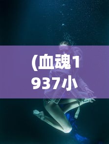 (血魂1937小说哪里看)血魂1937完整版，历史与情感的交织