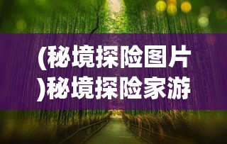 (秘境探险图片)秘境探险家游戏，冒险与探索的无尽魅力