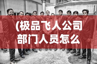 (极品飞人公司部门人员怎么搭配)极品飞人之总裁降临，企业巅峰的挑战与机遇