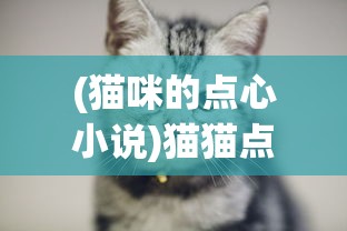 (猫咪的点心小说)猫猫点心铺游戏，一场治愈系美食与猫咪的完美结合