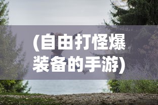 (自由打怪爆装备的手游)纯靠打怪掉装备的游戏，探索无尽的冒险之旅