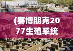 (赛博朋克2077生殖系统有什么用)赛博朋克2077中生殖系统的功能与影响