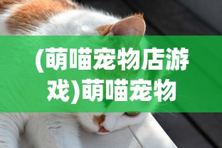 (萌喵宠物店游戏)萌喵宠物店全面攻略，打造最佳宠物体验