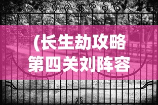 (长生劫攻略第四关刘阵容)长生劫攻略第四关，神秘古墓探险揭秘