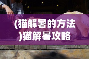 (惊天动地第二部电视剧)关于惊天动地2在中国上线情况的探讨与解析