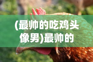 (最帅的吃鸡头像男)最帅的吃鸡头像，游戏文化中的个性表达与身份认同