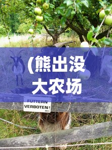 (熊出没大农场999999钻石苹果版)熊出没大农场999999钻石，游戏中的无尽财富与挑战