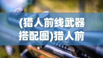 (猎人前线武器搭配图)猎人前线，最佳武器搭配策略