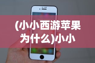 (小小西游苹果为什么)小小西游PL，游戏特色与玩法解析