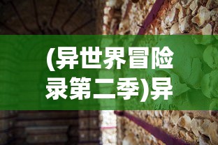 (异世界冒险录第二季)异世界冒险录，探寻神秘世界的奇幻之旅