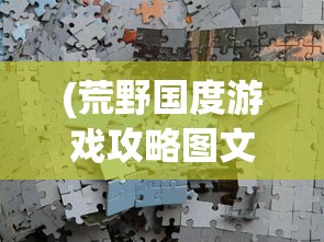 (荒野国度游戏攻略图文)荒野国度游戏攻略大全及常见问题解答