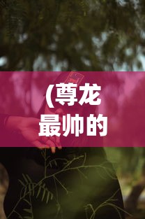 (尊龙最帅的十张照片图片)尊龙最帅瞬间，十张照片揭示其独特魅力
