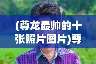 (4399百战沙城网页版)4399百战沙城，游戏深度解析与常见问题解答