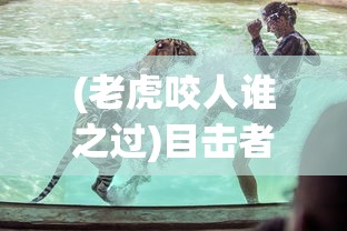 (老虎咬人谁之过)目击者称老虎咬到人也咬到牛，事件深度分析与探讨