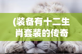 (装备有十二生肖套装的传奇是什么)装备有十二生肖套装的传奇故事