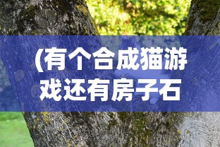 (有个合成猫游戏还有房子石象的游戏)关于合成猫游戏与房子石象的奇妙结合
